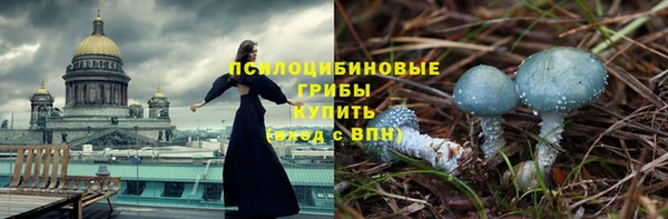 спайс Абаза